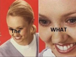 the what Meme Template
