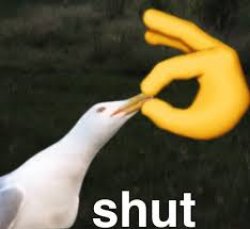 Shut Bird Meme Template