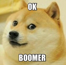 ok boomer Meme Template