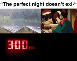 perfect night Meme Template