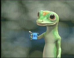 Gecko Epstein Meme Template