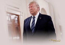 Tracy Knauss's soulless commander Meme Template