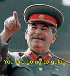 you are going to gulag Meme Template