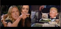 Schiff Pelosi Trump Cat Meme Template