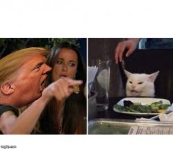 Trump Yelling At Cat Alternate Truths Meme Template