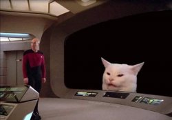 Picard confused about Cat Meme Template