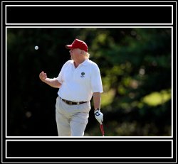 President DonaldTrump tossing golf ball Meme Template
