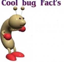Cool Bug Facts Meme Template