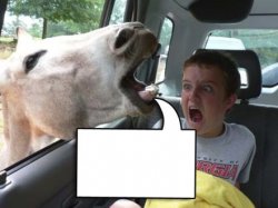 Horse Scares Kid Meme Template