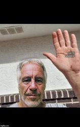 Jeffrey Epstein Meme Template