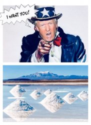 Trump wants the Bolivian lithium Meme Template