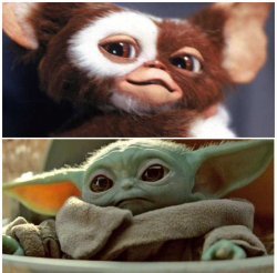 Gizmo and Baby Yoda Meme Template