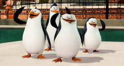 Pinguins de Madagascar Meme Template
