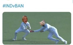 India vs Bangladesh Meme Template