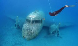 Underwater Airplane with Diver Meme Template