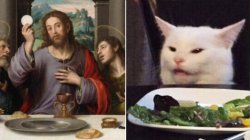 anno catti Meme Template