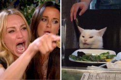 Woman yelling at cat meme Meme Template
