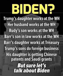 Trump nepotism hypocrisy Hunter Biden Meme Template