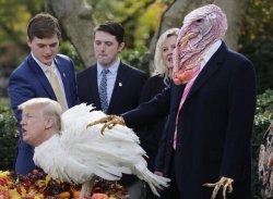 Pardoning all the turkeys. Meme Template