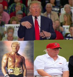 Trump appearance Meme Template