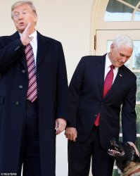 Trump Pence Meme Template