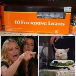 Woman yelling at cat Meme Template