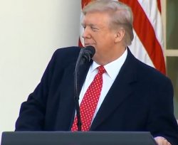 Trump whatever Meme Template