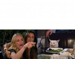 Woman Yelling At A Cat (HD) Meme Template