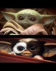 Yoda Mogwai Meme Template