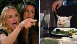 Woman Yelling At Cat Orgasim Swallow Meme Template