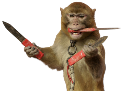 monkey with knives Meme Template