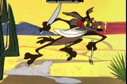 Coyote Scrambled Aches Meme Template