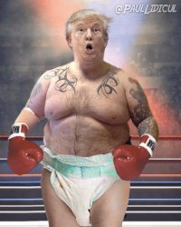 diaper don Meme Template