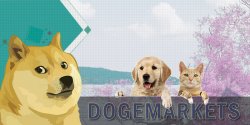 Dogemarkets Meme Template