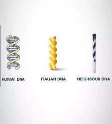 Romanian DNA Meme Template