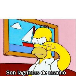 homer Meme Template