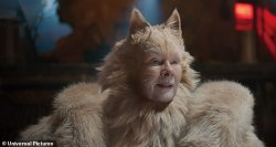 Judi Dench Cats Meme Template