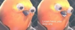 listen here you little shit Meme Template