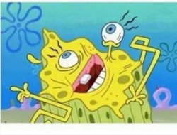 wtf spongebob Meme Template