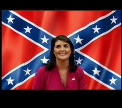 Nikki Haley Confederate Flag Meme Template