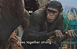 Apes strong together Meme Template