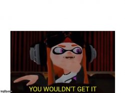 You wouldn't get it Meme Template