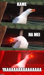 KAME HA ME HAAAAAAAAAA Meme Template