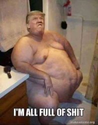 Trump flush Meme Template