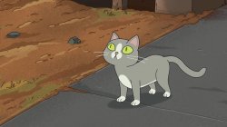 Rick and Morty-Talking Cat Meme Template