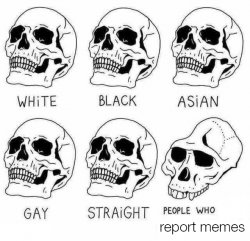 skeleton skull meme Meme Template