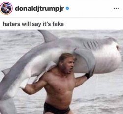 Trump Jr IG Post Meme Template