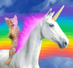 I love Kittens and Unicorns!!!! Meme Template