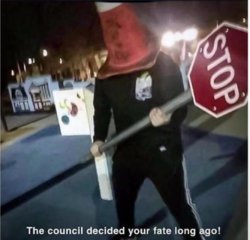 the council has decided Meme Template