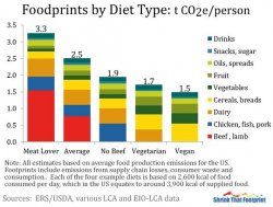 Carbon footprints by diet Meme Template